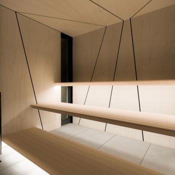 sauna modern